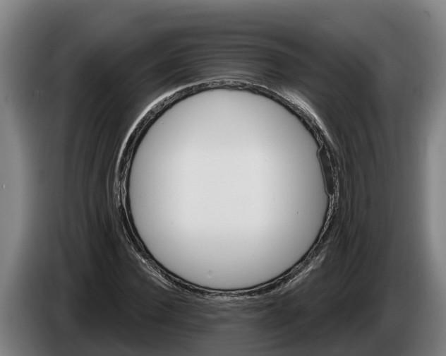 X0000086320924200704202019