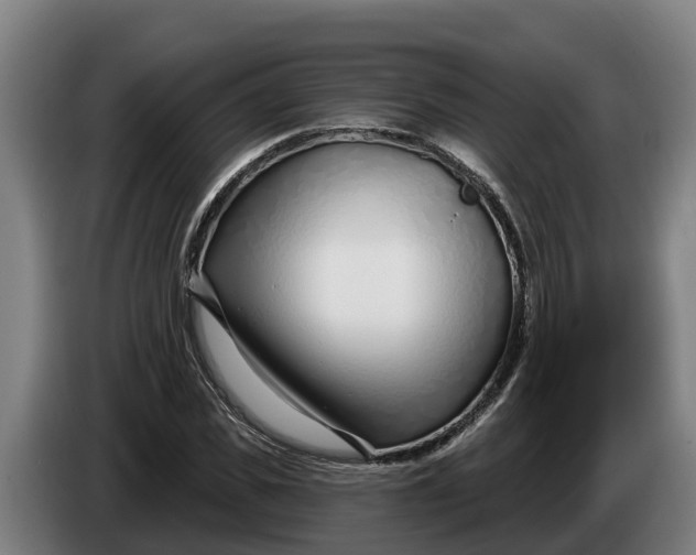 X0000086320925200704202019