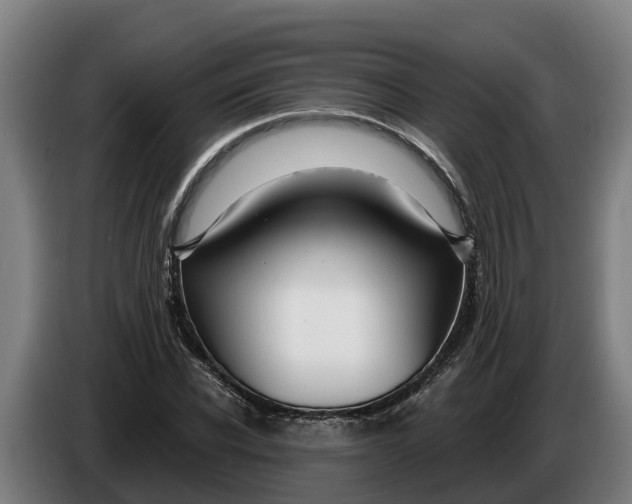 X0000086320926200704202019