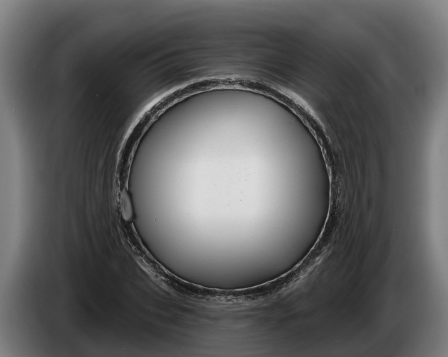 X0000086320927200704202019