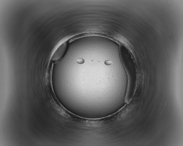 X0000086320928200704202019