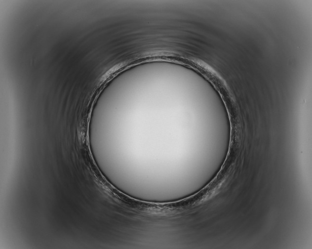 X0000086320929200704202019