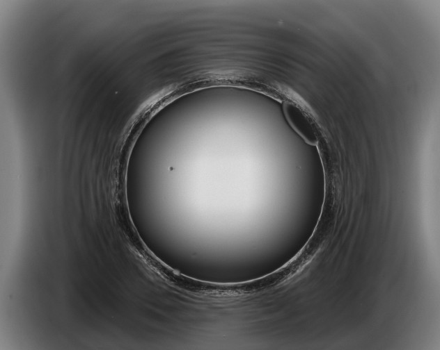 X0000086320930200704202019