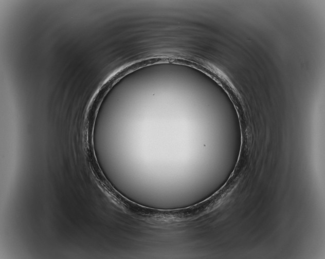 X0000086320931200704202019