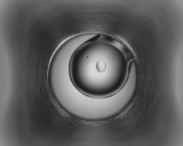 X0000086320932200704202019