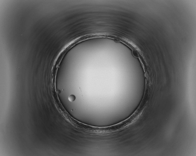 X0000086320933200704202019