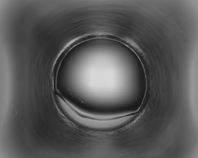 X0000086320934200704202019