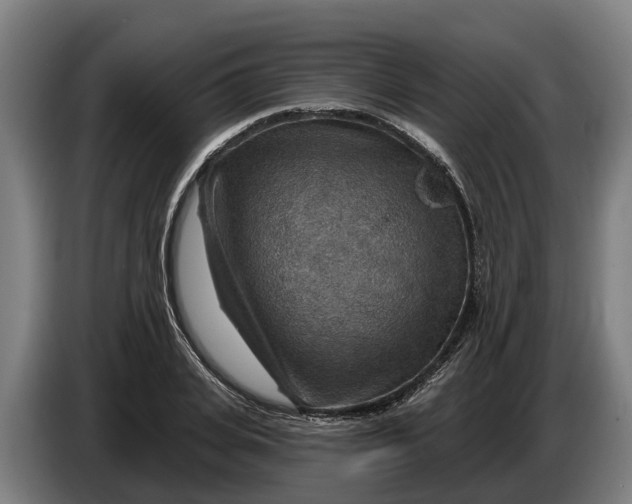 X0000086320935200704202019