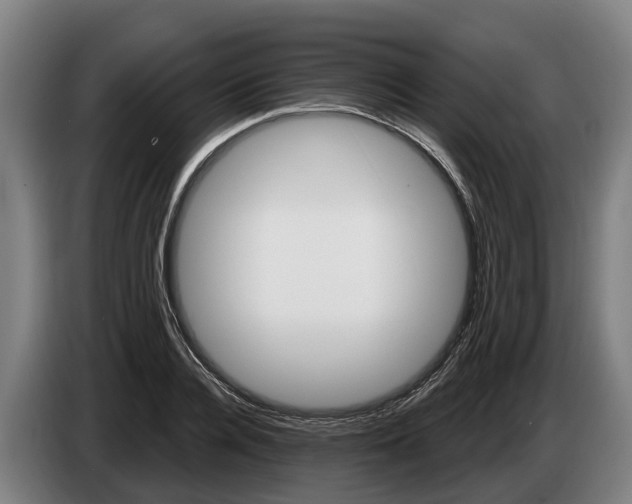 X0000086320936200704202019