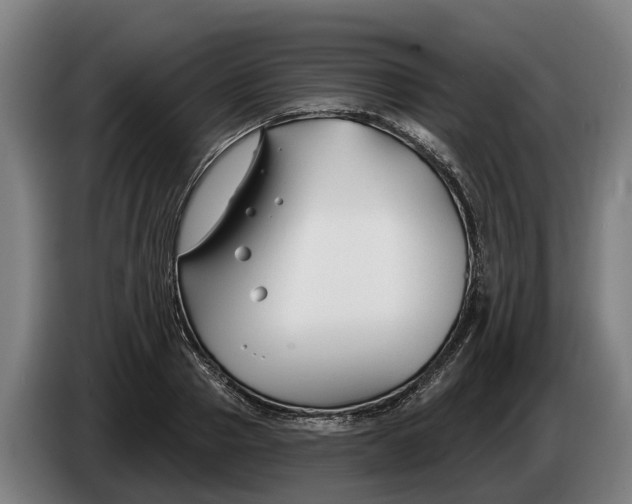 X0000086320937200704202019