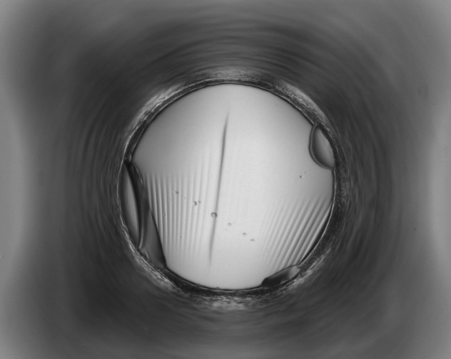 X0000086320938200704202019