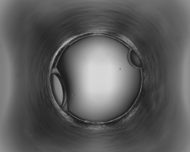 X0000086320939200704202019