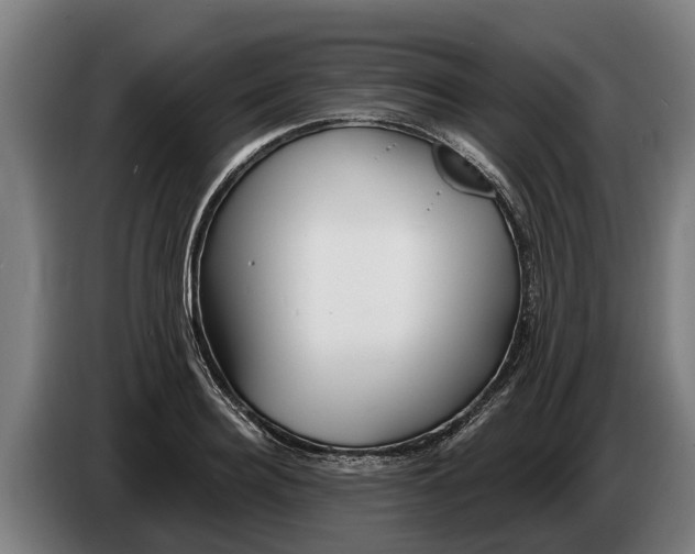 X0000086320940200704202019