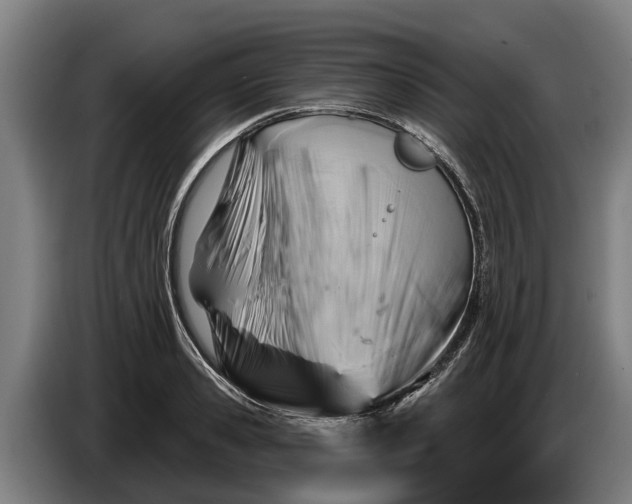 X0000086320941200704202019