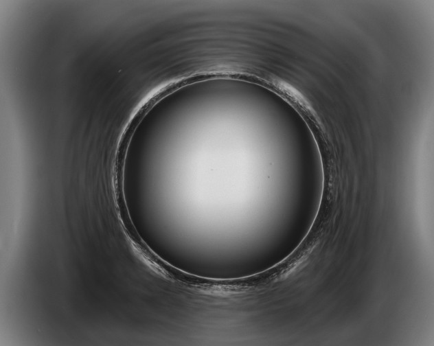 X0000086320942200704202019