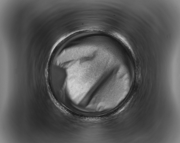 X0000086320944200704202019