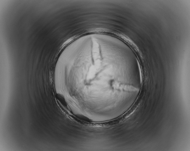 X0000086320945200704202019