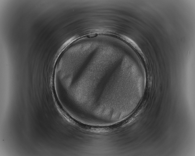 X0000086320946200704202019