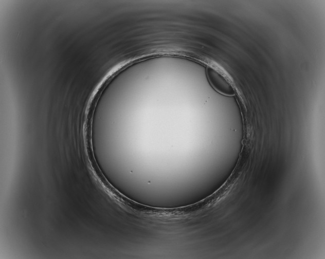 X0000086320947200704202019