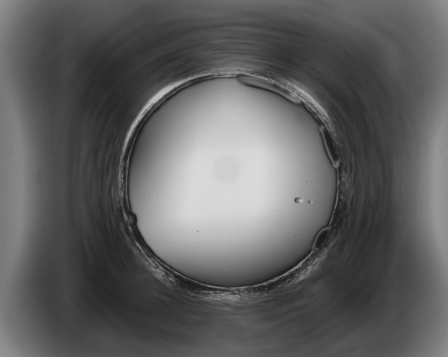 X0000086320948200704202019