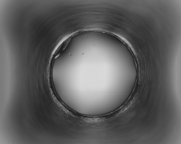 X0000086320949200704202019