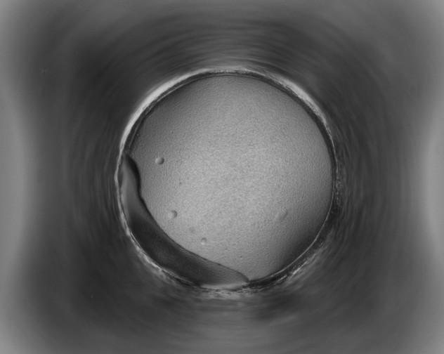 X0000086320951200704202019