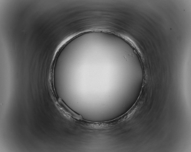 X0000086320952200704202019