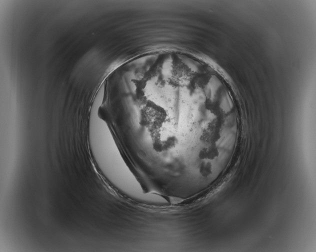 X0000086320953200704202019