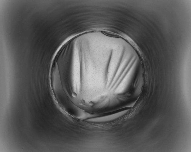 X0000086320955200704202019