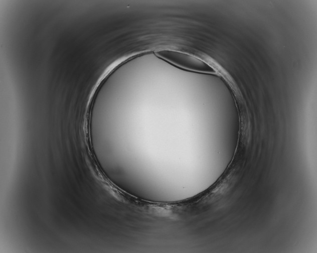 X0000086320956200704202019