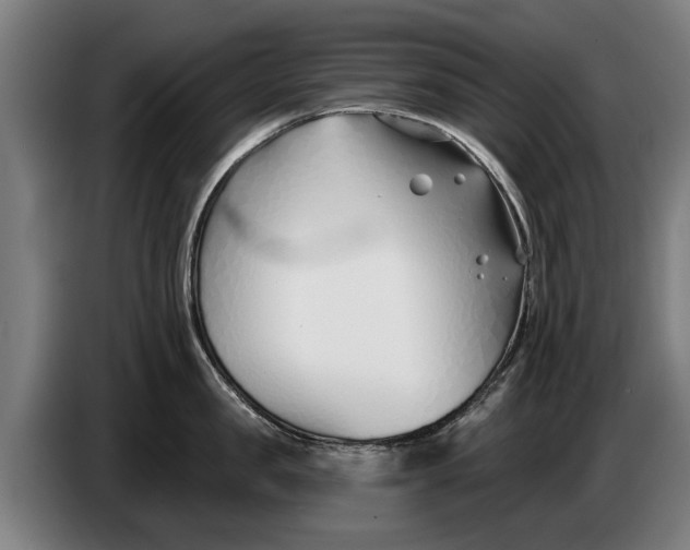 X0000086320957200704202019