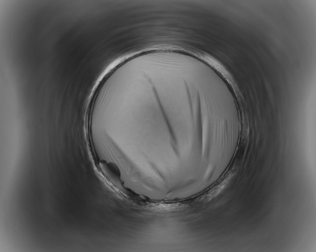 X0000086320958200704202019