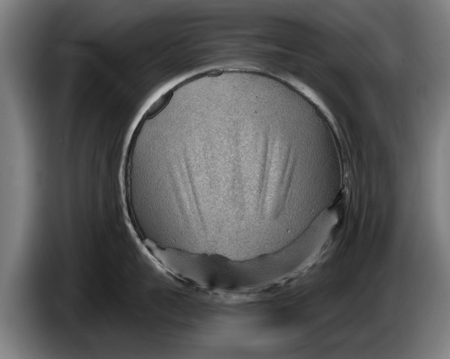 X0000086320959200704202019