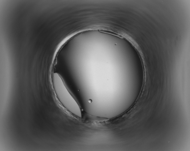 X0000086320960200704202019