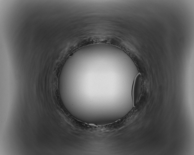 X0000086320961200704202019