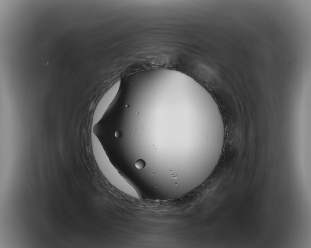 X0000086320962200704202019