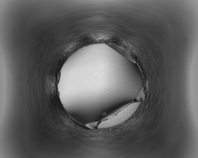 X0000086320963200704202019