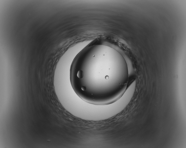 X0000086320965200704202019