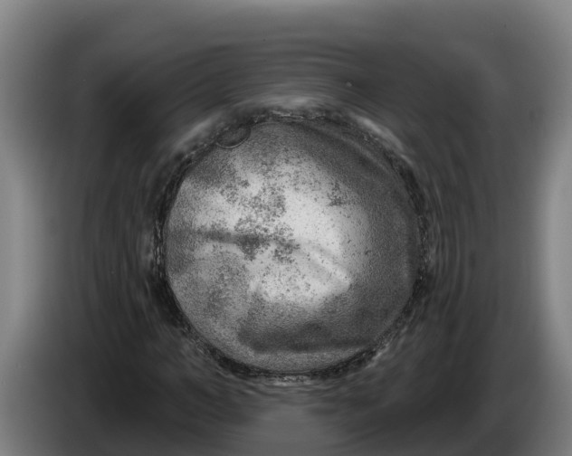 X0000086320966200704202019