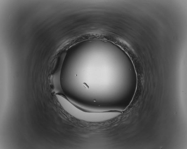 X0000086320968200704202019