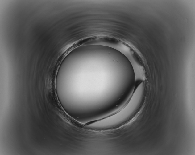 X0000086320969200704202019