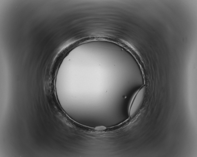 X0000086320971200704202019