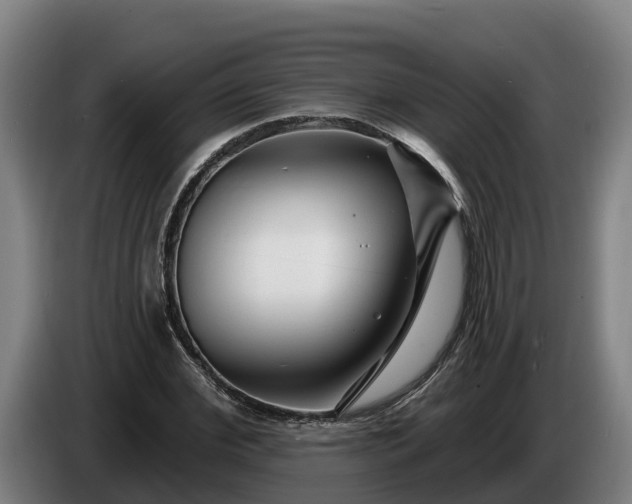 X0000086320972200704202018