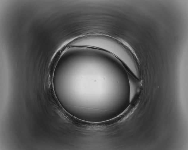 X0000086320973200704202018