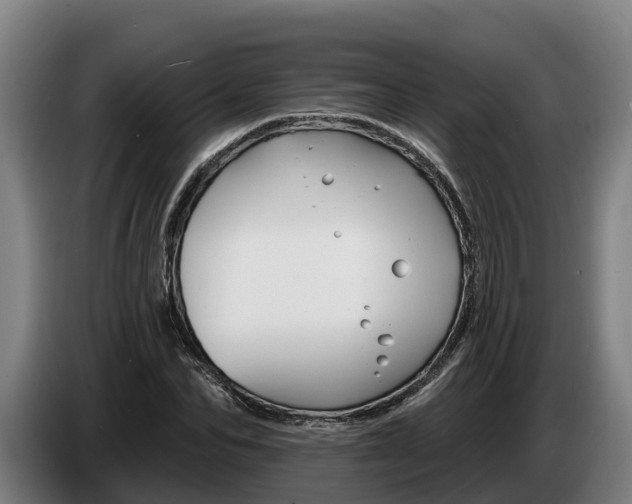 X0000086320974200704202018