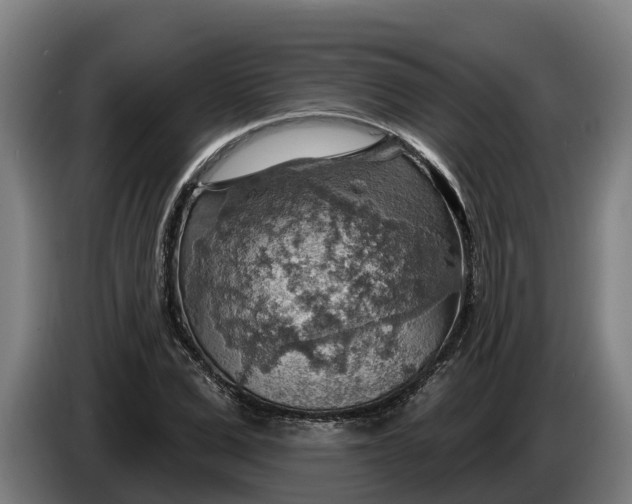 X0000086320975200704202018