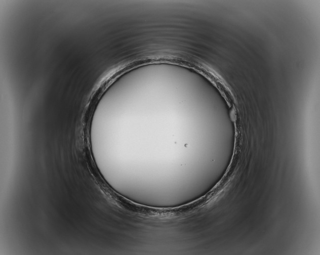 X0000086320978200704202018