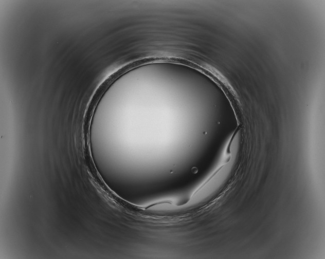 X0000086320980200704202018