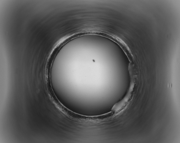 X0000086320981200704202018