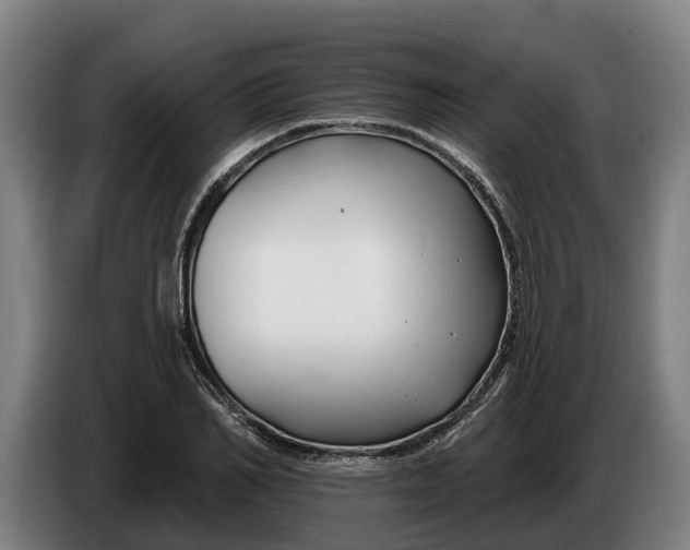 X0000086320982200704202018